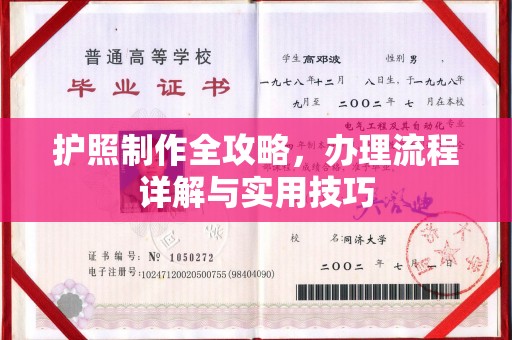 盐埕护照制作全攻略，办理流程详解与实用技巧