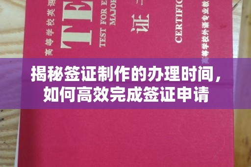 盐埕揭秘签证制作的办理时间，如何高效完成签证申请