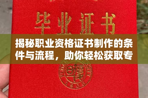 盐埕揭秘职业资格证书制作的条件与流程，助你轻松获取专业认证