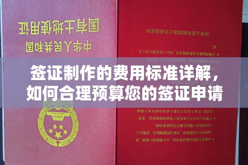 盐埕签证制作的费用标准详解，如何合理预算您的签证申请成本