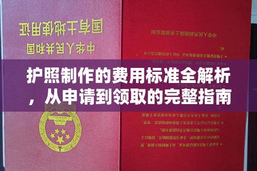盐埕护照制作的费用标准全解析，从申请到领取的完整指南